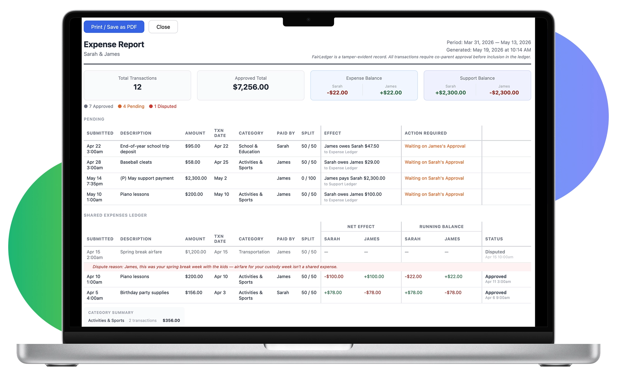 Professional Expense Report View